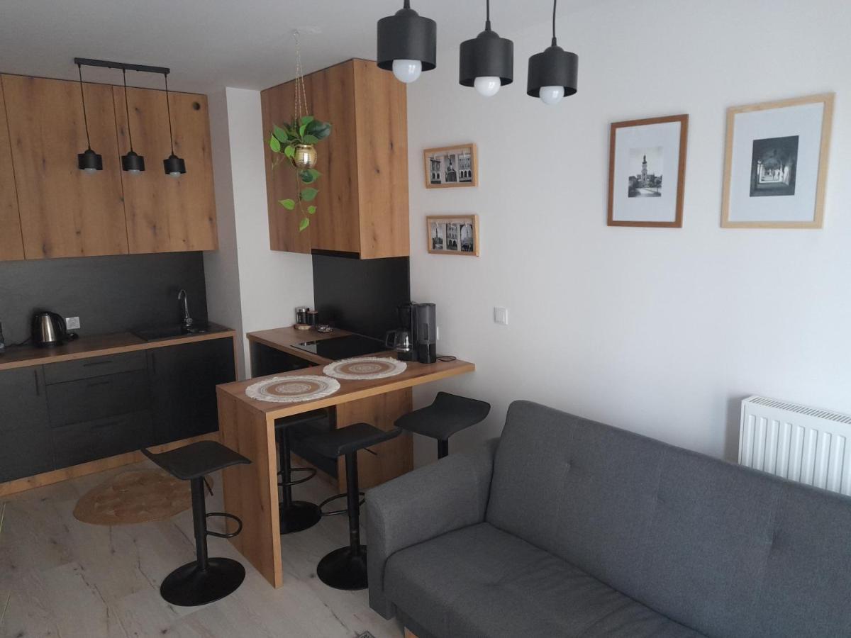 Apartament Amelia Zamość Buitenkant foto